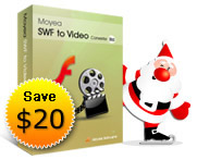 swf to video converter standard