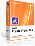 Video to FLV converter